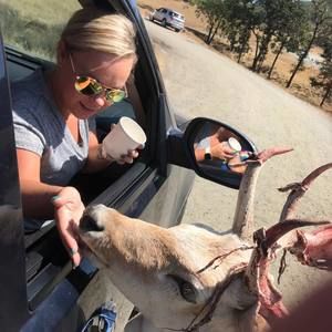 Meet your Posher, Sara